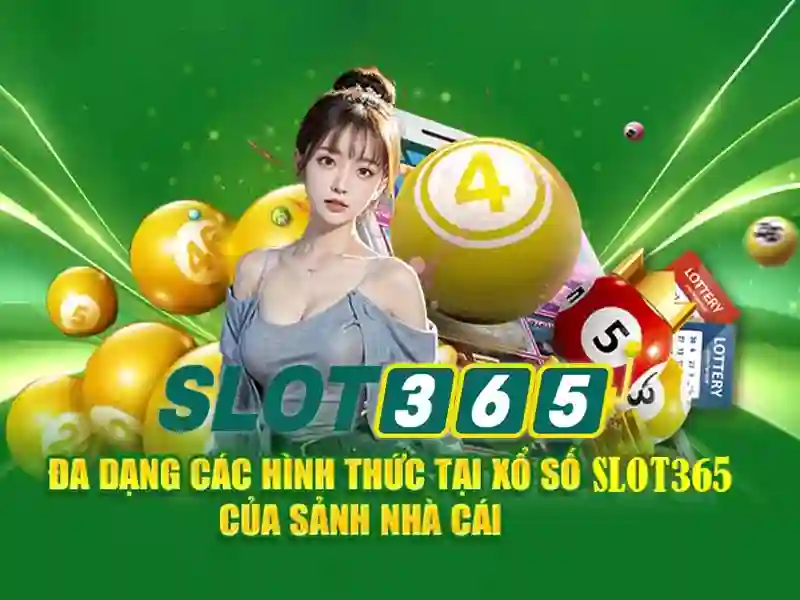 Giao diện và trải nghiệm người dùng