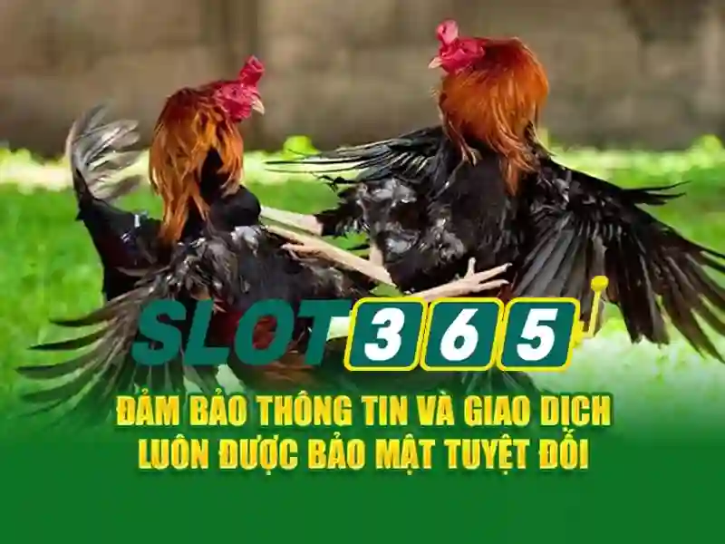 https://tomactz.com/images/text/slot365/slot365-text260312196.webp slot365 tang 200k – Tổng quan chủ đề và giá trị cốt lõi