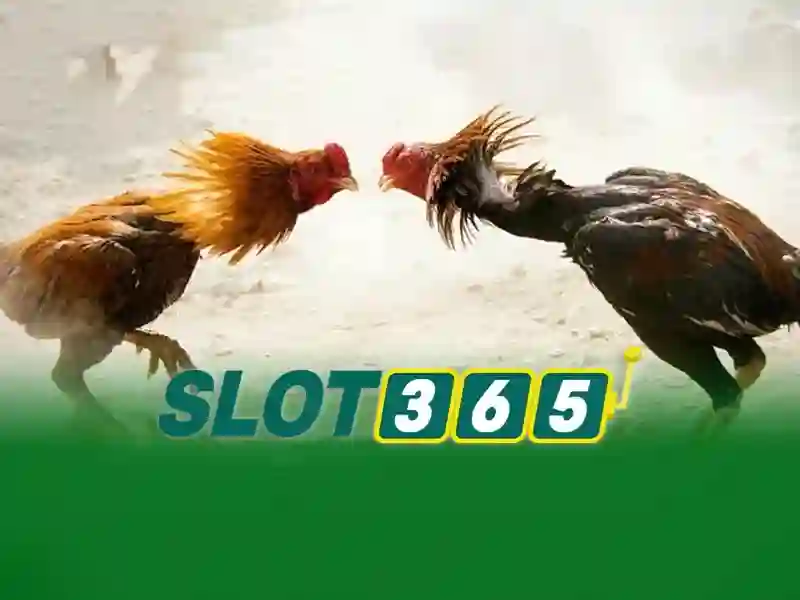 Những điểm nổi bật của Slot365