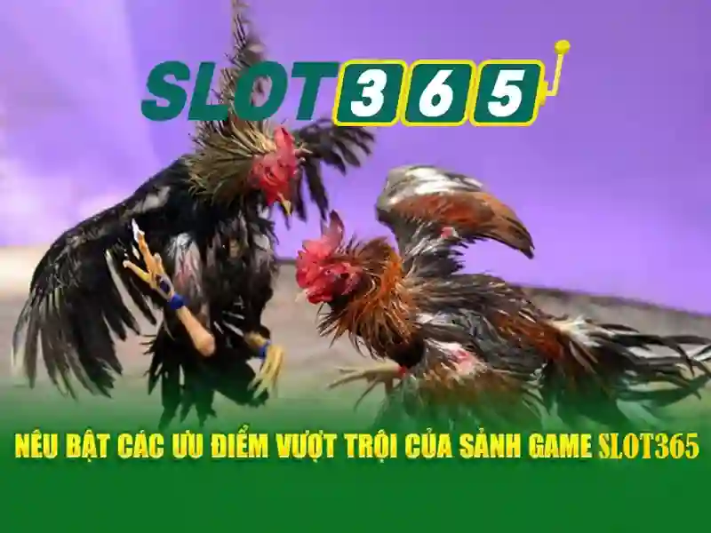 https://tomactz.com/images/text/slot365/slot365-text260312418.webp Giao diện người dùng thân thiện