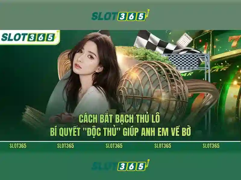 Slot365 – Trải nghiệm máy xèng trực tuyến hàng đầu