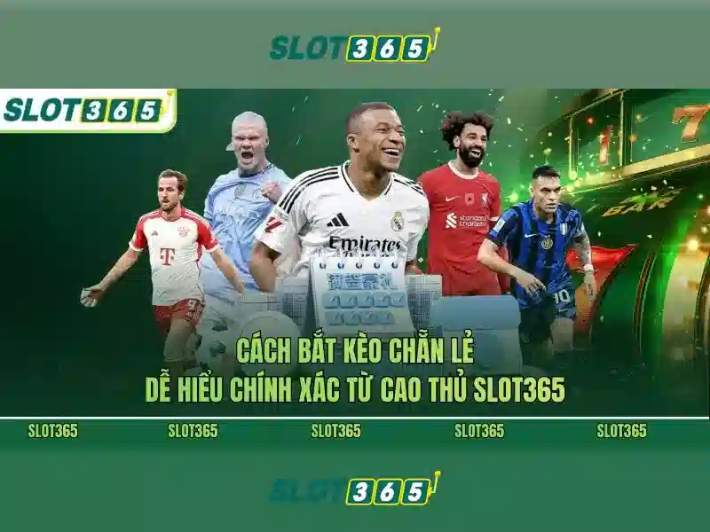 Slot365: Khám phá trò chơi slot và trải nghiệm cá cược trực tuyến