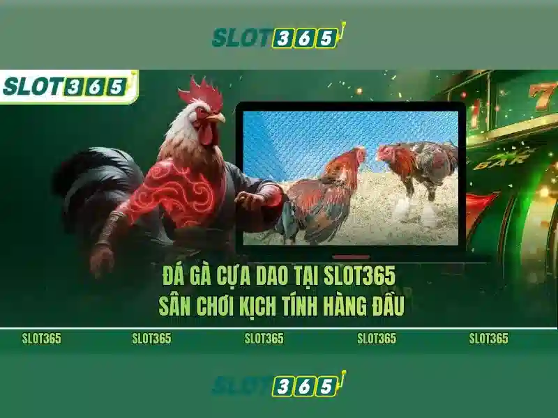 Slot365: Tổng quan, trò chơi và trải nghiệm người dùng