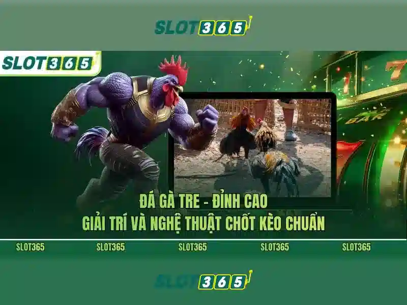 Slot365 bị chặn – tổng quan và review Slot365 nhận thưởng Giao diện nhà cái hoàn hảo