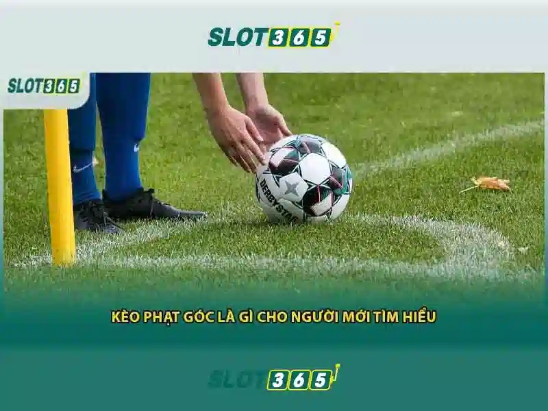 Slot365 – Trải nghiệm máy xèng trực tuyến hàng đầu Giao diện nhà cái hoàn hảo