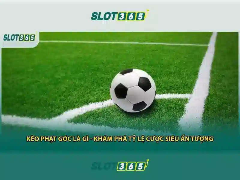 đăng nhập Slot365: Trải nghiệm với slot365 ios và slot365 win