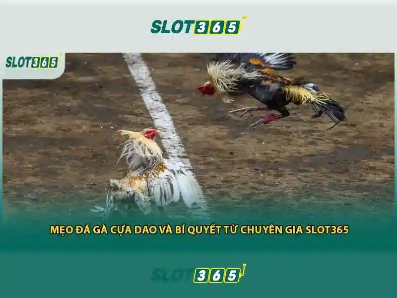 Nguồn gốc và sứ mệnh của khuyến mãi Slot365