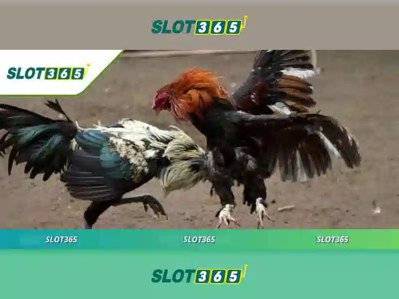 Các trò chơi nổi bật trên Slot365
