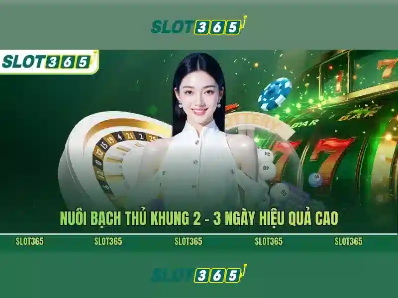 Giao diện nhà cái hoàn hảo