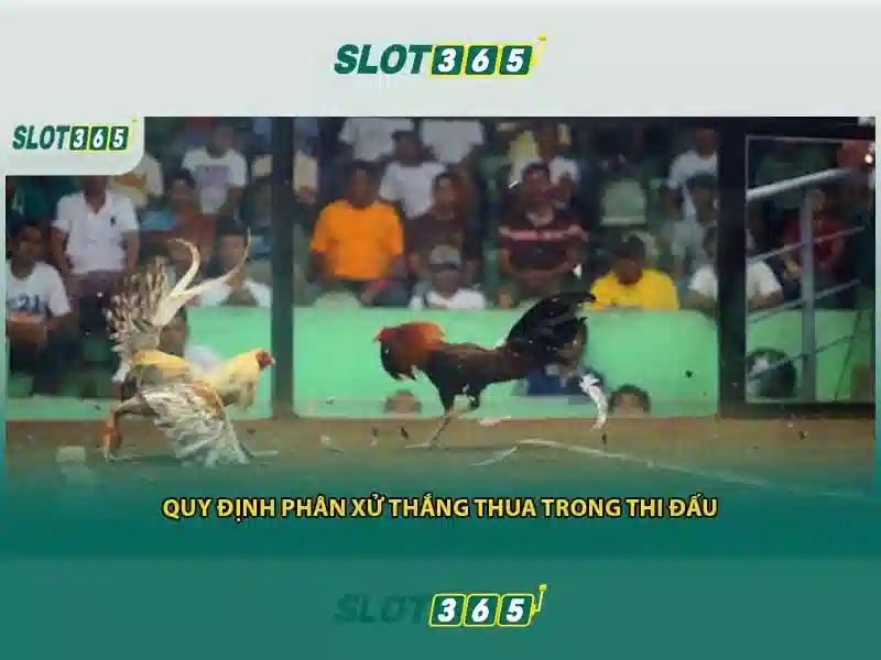 https://tomactz.com/images/text/slot365/slot365-text17.webp Các điểm nổi bật của Slot365\n