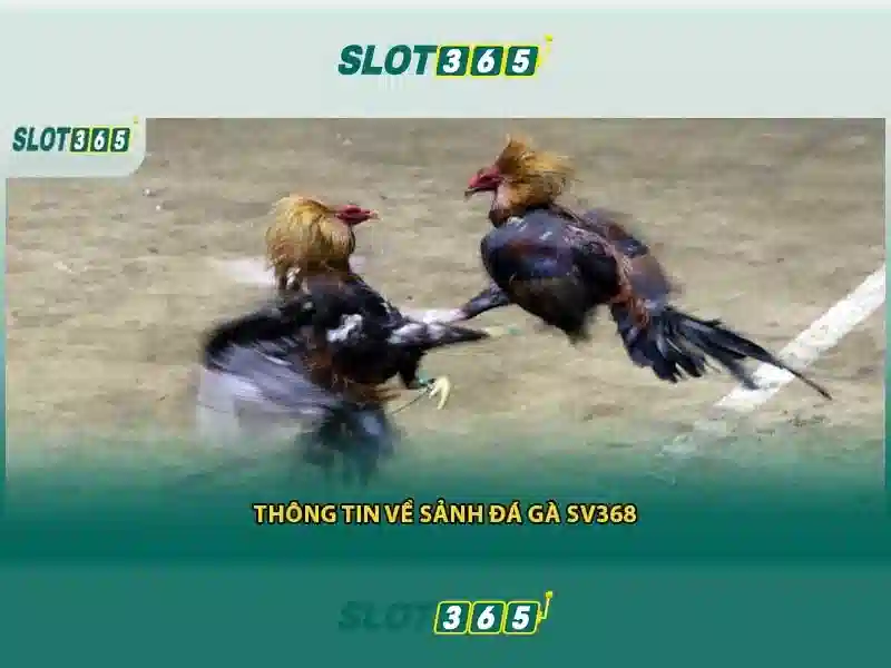 slot365: Đánh giá và hướng dẫn chơi slot trực tuyến