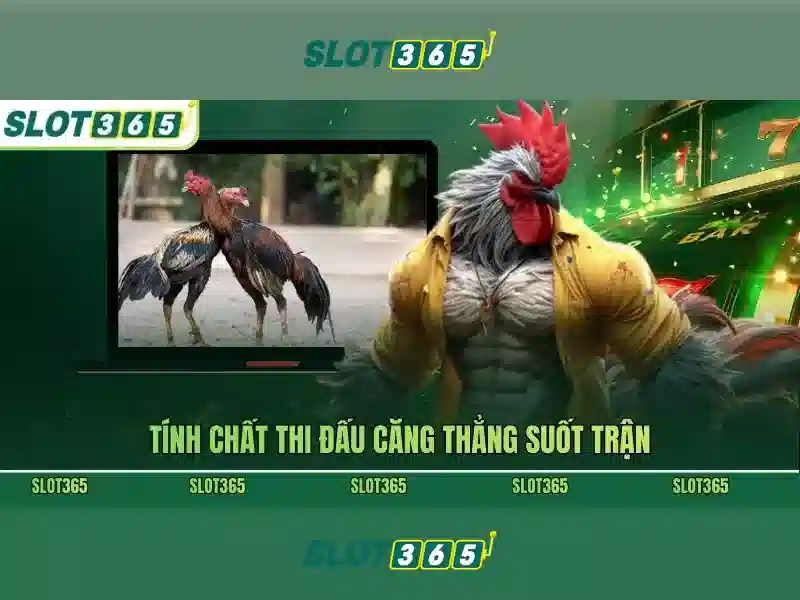 Slot365 - Tổng quan về nền tảng máy chơi slot trực tuyến
