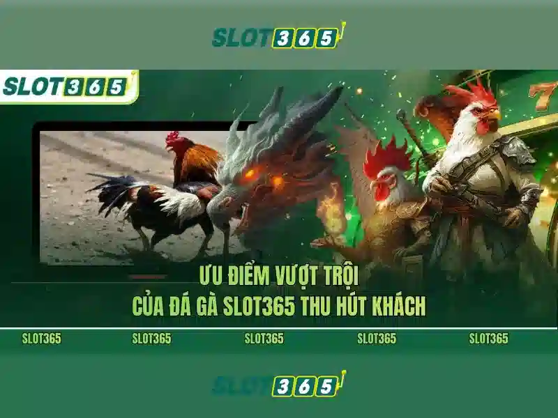 Slot365 - Nền tảng slot online hàng đầu