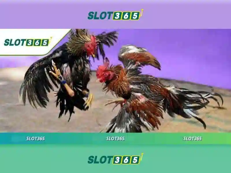 Slot365 là nền tảng slots trực tuyến đỉnh cao