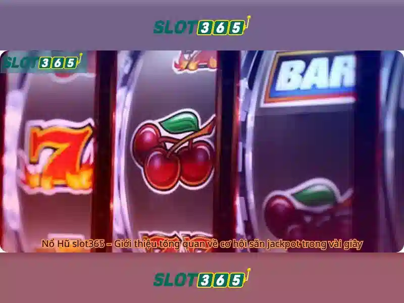 Slot365 - Đánh giá nền tảng xèng trực tuyến