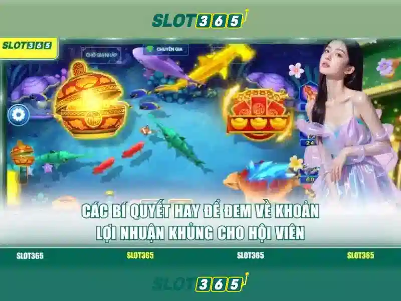Slot365 - Nền tảng máy xè quay trực tuyến uy tín