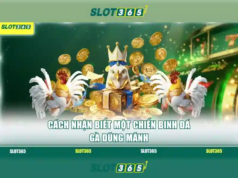 Slot365: Tổng quan về nền tảng casino trực tuyến