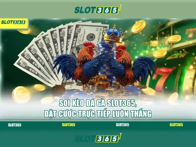 Slot365: Trải nghiệm slot trực tuyến đáng tin cậy và thú vị
