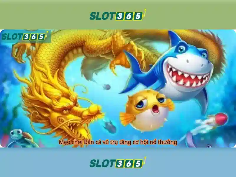 Slot365 - Nền tảng giải trí slot trực tuyến hiện đại