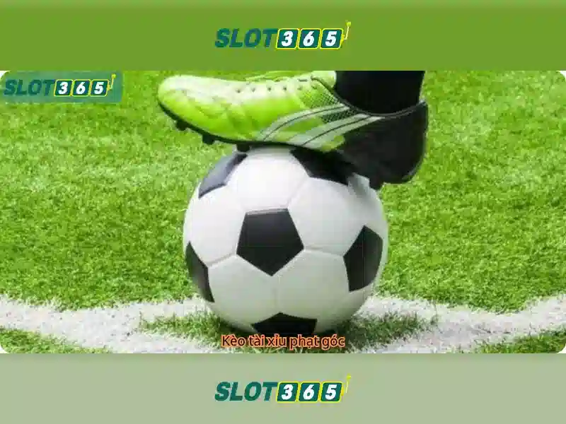 Slot365: Khám phá nền tảng máy xè trực tuyến đáng tin cậy