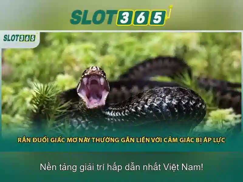 Trải nghiệm người chơi và hỗ trợ