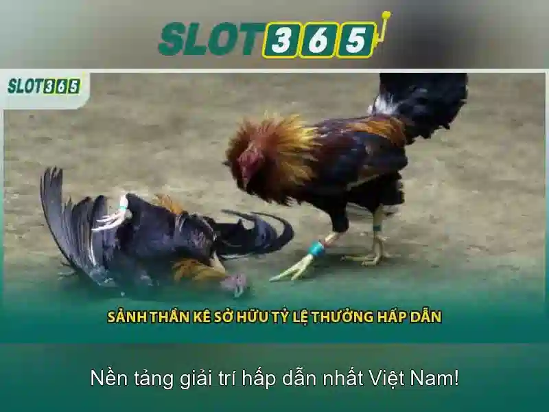 Khuyến mãi và phiếu thưởng