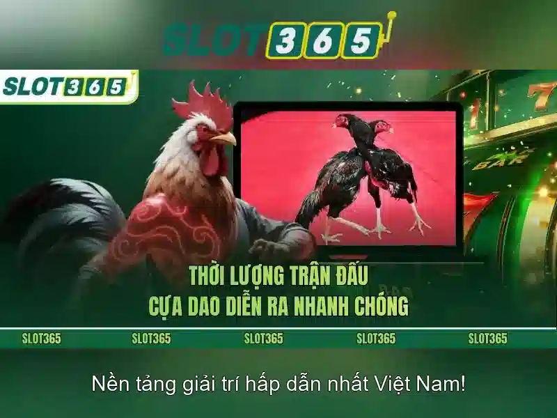 Slot365: Đánh giá nền tảng casino trực tuyến Giao diện nhà cái hoàn hảo