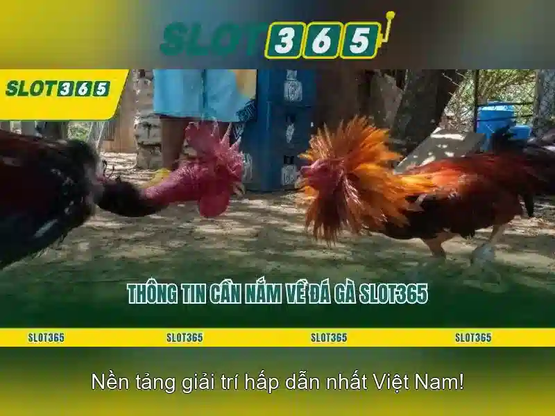 Slot365: Nền tảng chơi slot hàng đầu và trải nghiệm tuyệt vời