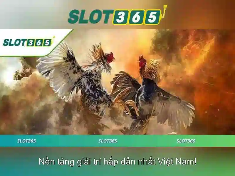 Slot365: Đánh giá và trải nghiệm trò chơi xèng trực tuyến Giao diện nhà cái hoàn hảo