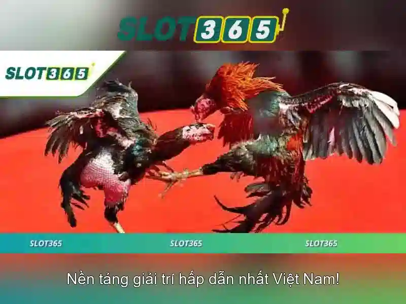 Giao diện nhà cái hoàn hảo