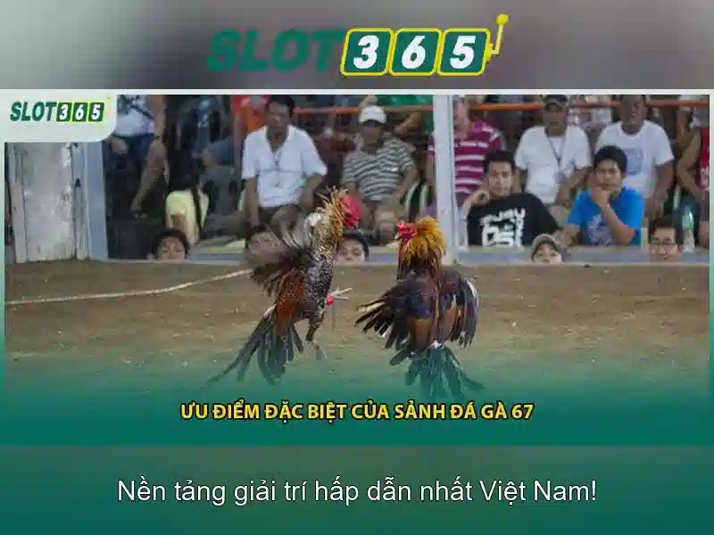 Slot365 la gi va tai sao no gay chu y trong the gioi casino truc tuyen