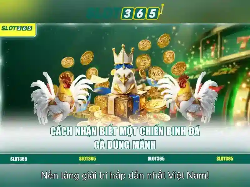 Slot365: Đánh giá và trải nghiệm nền tảng cược trực tuyến