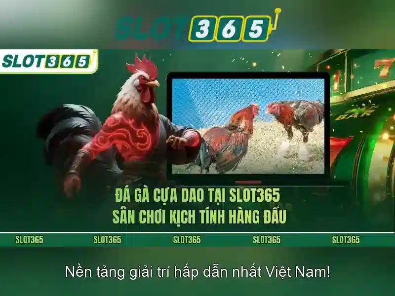 Slot365: Tổng quan về nền tảng slot online