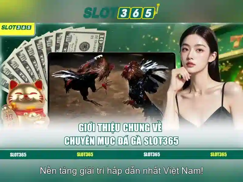 Slot365 – Tổng quan về nền tảng trò chơi xèng trực tuyến