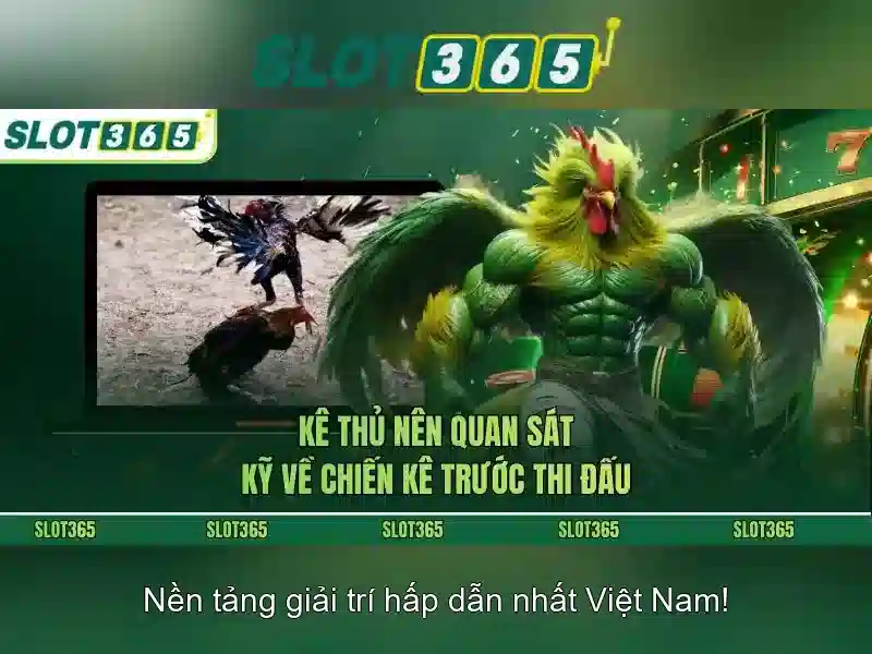 Giới thiệu Slot365