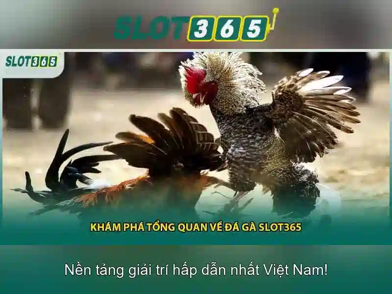 Giao diện nhà cái hoàn hảo