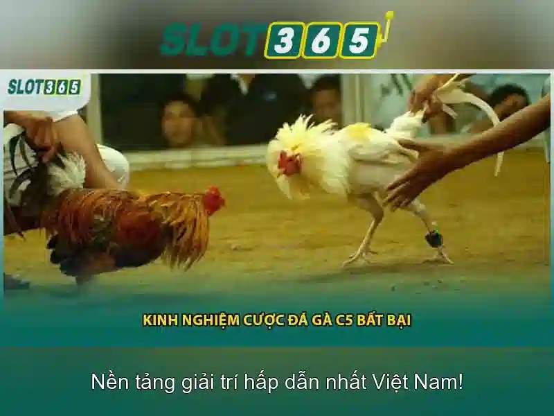 Ưu điểm