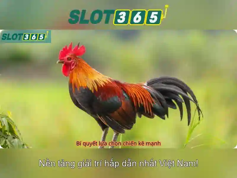 https://tomactz.com/images/text/slot365/slot365-text331.webp Giao diện thân thiện và trải nghiệm người chơi