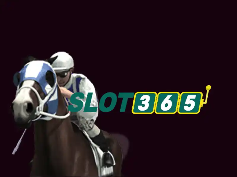 Trải nghiệm người dùng và phản hồi cộng đồng