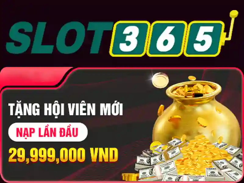 https://tomactz.com/images/text/slot365/slot365-text2603311117.webp Slot365 và trải nghiệm người dùng\n\n